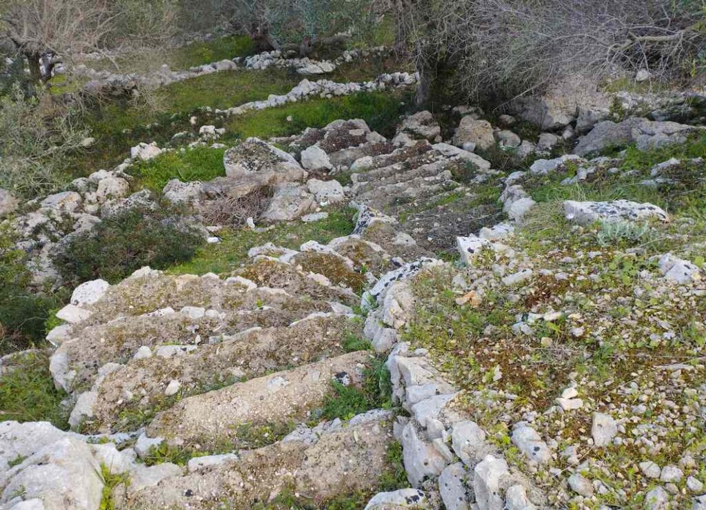 Terreno vicino a Leuca in agro di Gagliano del Capo