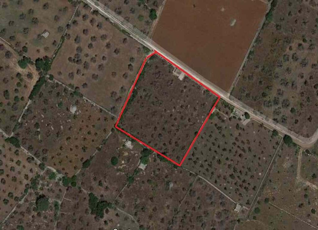 Terreno agricolo in Alessano
